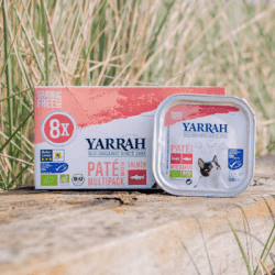 Yarrah Paté Multi-Pack Lachs mit Omega 3 & 6 für Katzen